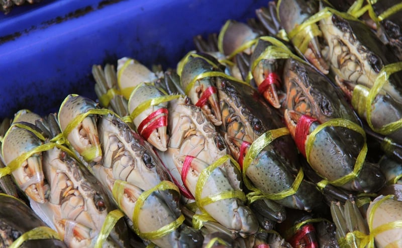 Fresh Seafood Specialties