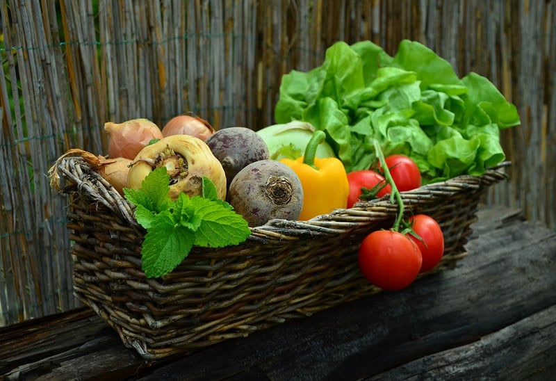 Nutrient-Rich Salad